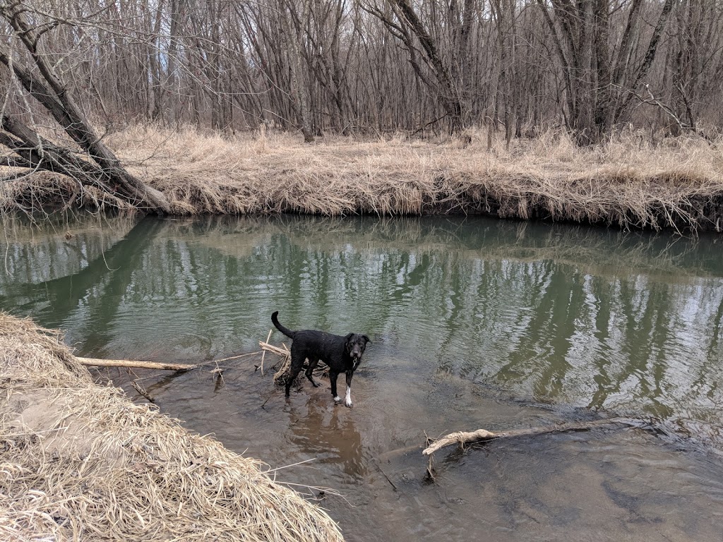 Cherokee Marsh State Fishery Area | Madison, WI 53704, USA | Phone: (608) 275-3225