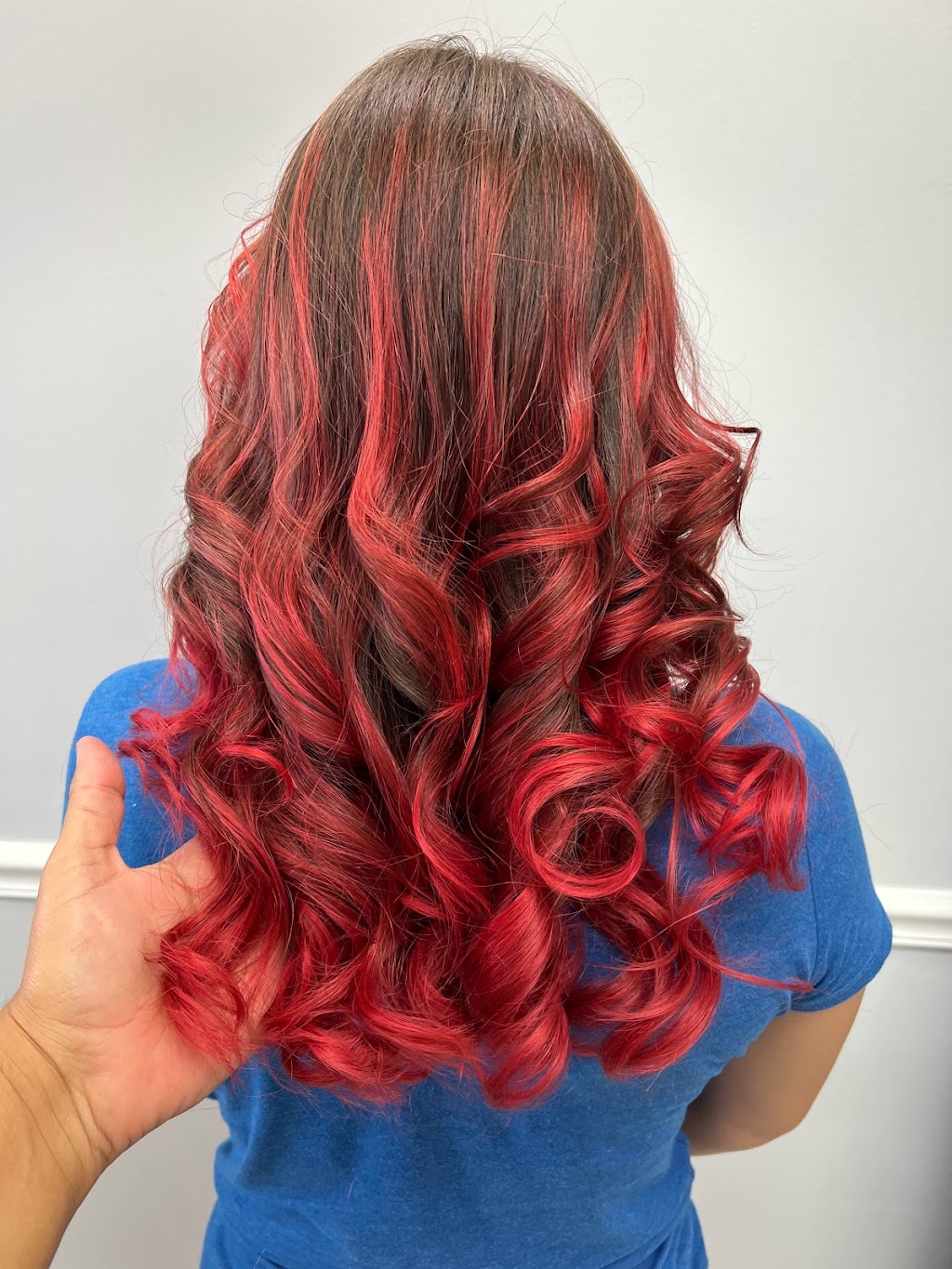 Armando’s Hair Design | 362 Dogwood Ave, Franklin Square, NY 11010, USA | Phone: (516) 385-1094