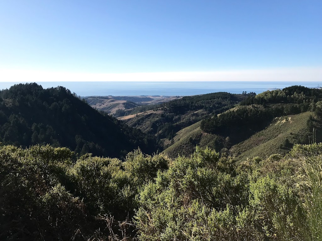 South Parking Lot | Purisima Creek Redwoods | Purisima Creek Trail, Redwood City, CA 94062, USA | Phone: (650) 691-1200