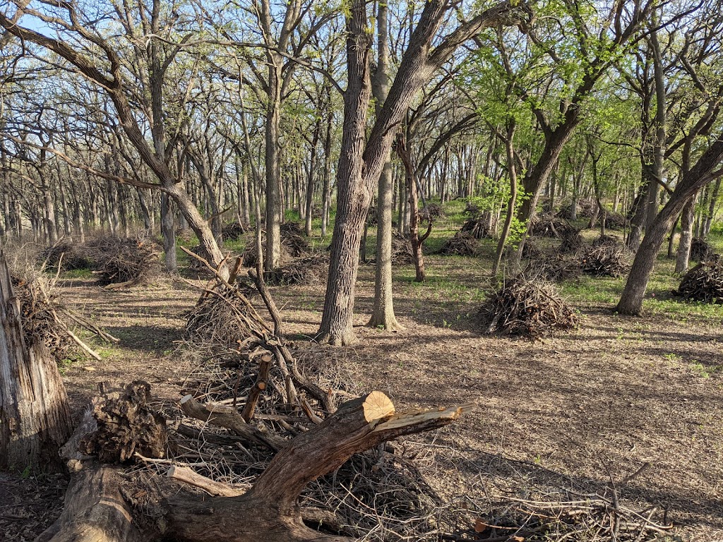 Prairie Ridge Conservation Park | 2406 Berkley Dr, Madison, WI 53719, USA | Phone: (608) 266-4711