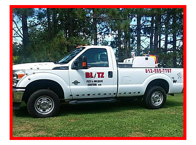 BLITZ PEST & WILDLIFE CONTROL LLC | 5333 County Rd 225 S #47170, Scottsburg, IN 47170, USA | Phone: (812) 595-7787