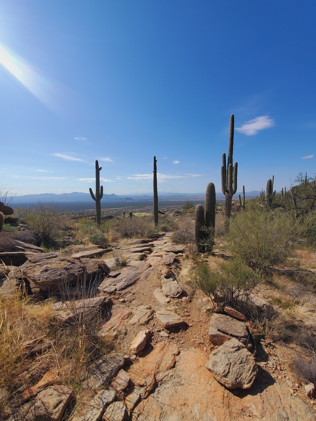 Upper Javelina Trailhead | Marana, AZ 85658, USA | Phone: (520) 572-3000