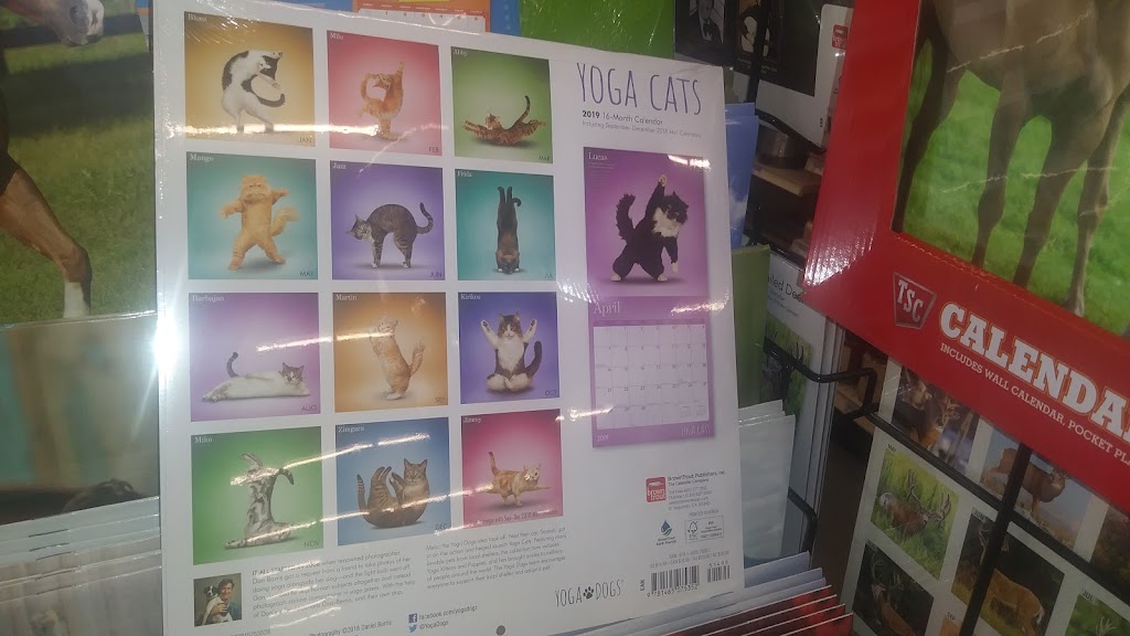 Sunset Co-Op Nursery School | 60 Sunset Rd, Pompton Plains, NJ 07444, USA | Phone: (973) 835-6796