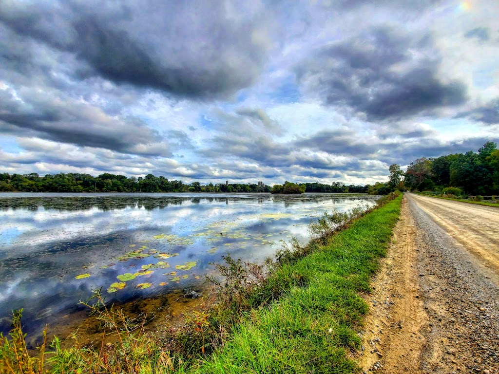 Watkins Lake State Park and County Preserve | 14801 Arnold Rd, Brooklyn, MI 49230, USA | Phone: (517) 467-7401