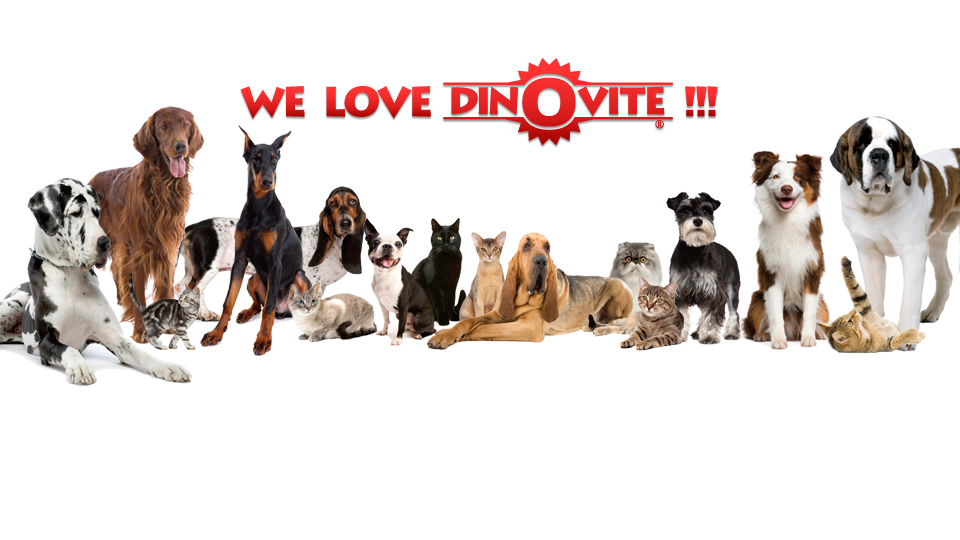 Dinovite, Inc. | 101 Miller Dr, Crittenden, KY 41030, USA | Phone: (859) 428-1000