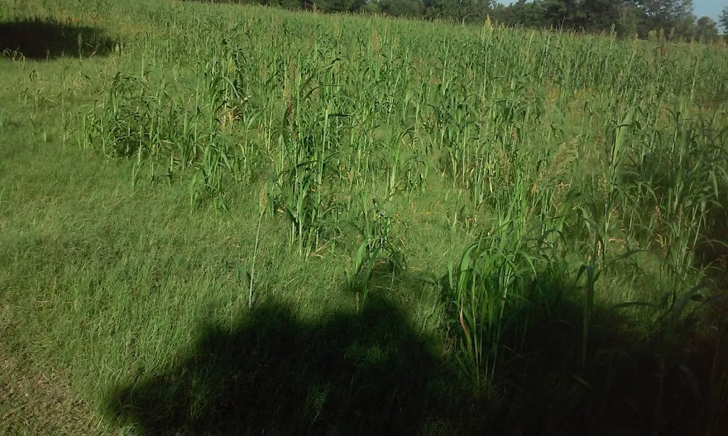 Universal Truckload Services Inc | 915 Knight St, Corsicana, TX 75110, USA | Phone: (903) 875-1855