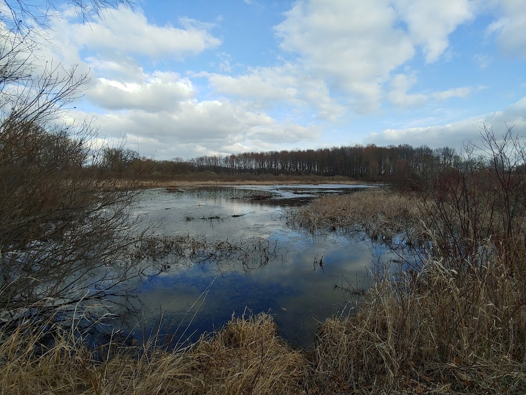 Koenn Nature Preserve | 2200 Hayes Rd, Chelsea, MI 48118, USA | Phone: (734) 971-6337