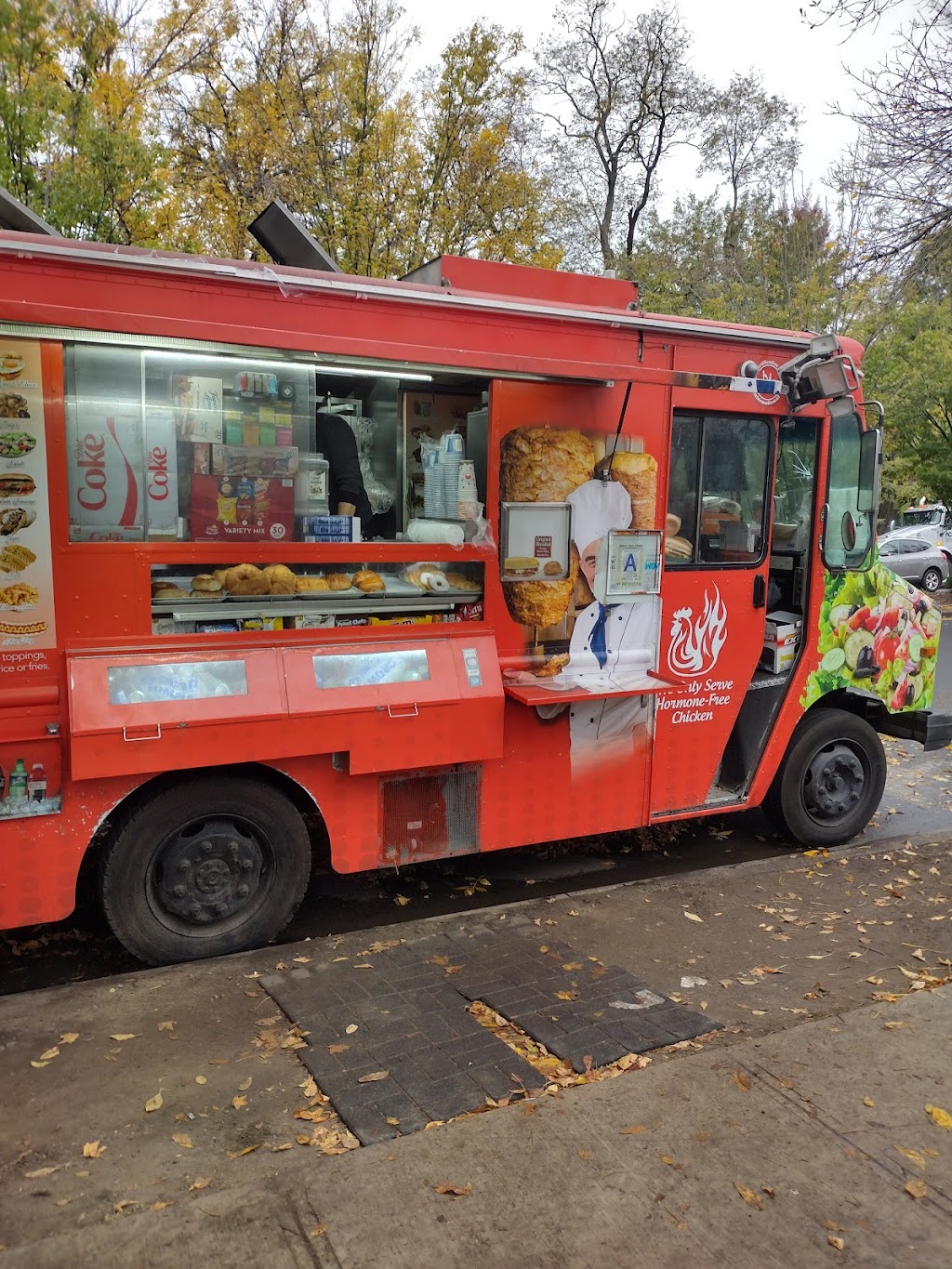Mobile food supplier ( food cart) | 99-11 Ditmars Blvd, Queens, NY 11369, USA | Phone: (646) 229-5304