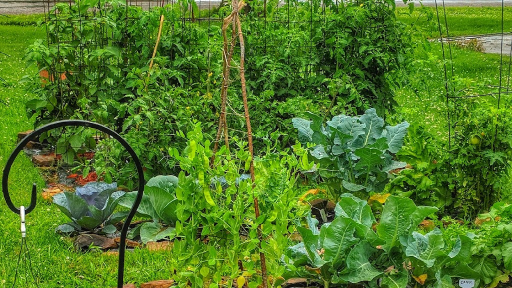 Campbell Hill community garden. | 119 S Pine St, Campbell Hill, IL 62916, USA | Phone: (618) 318-6664