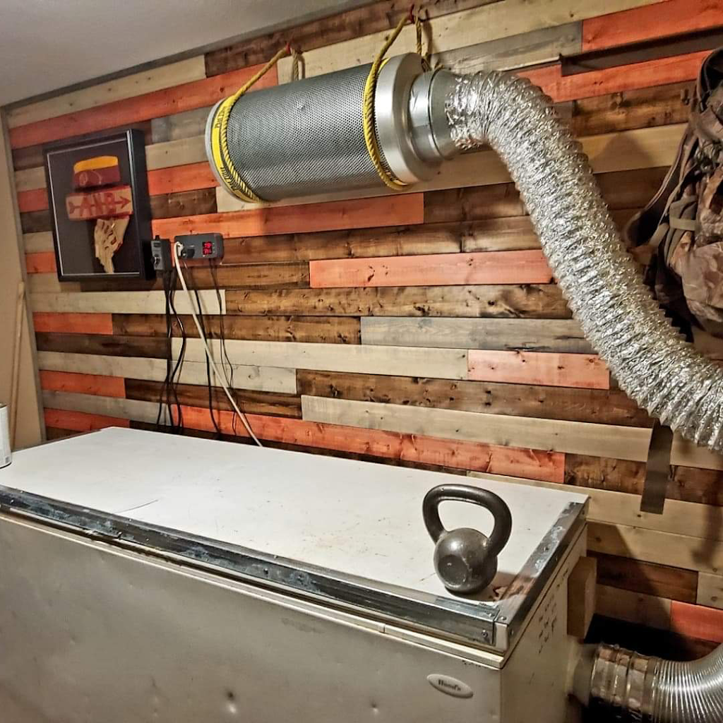 Talias Beetle Bugs | 3544 View St, Bakersfield, CA 93306, USA | Phone: (661) 332-2099