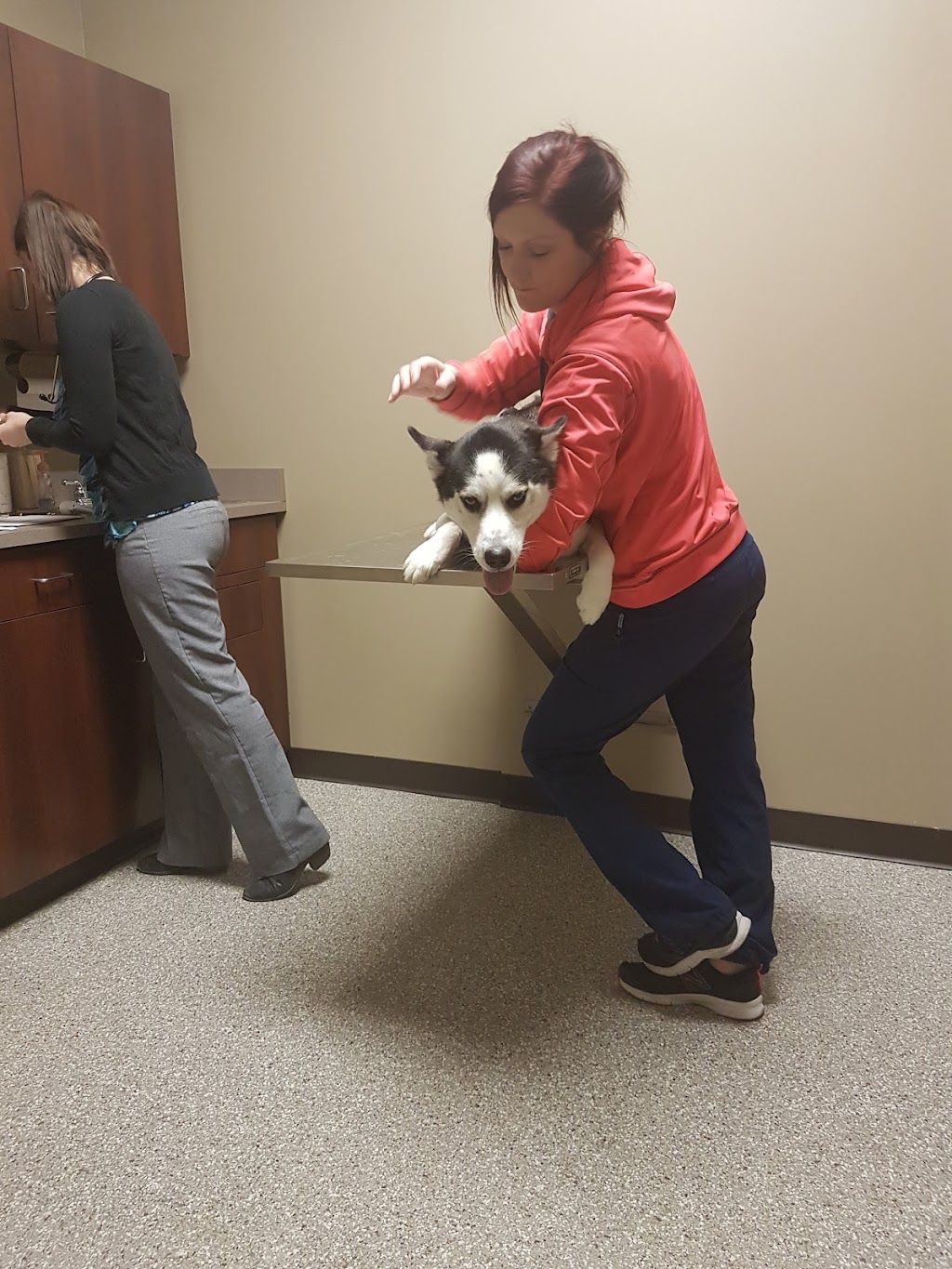 Morgan Pet Clinic | 16937 Audrey St, Omaha, NE 68136, USA | Phone: (402) 895-1001