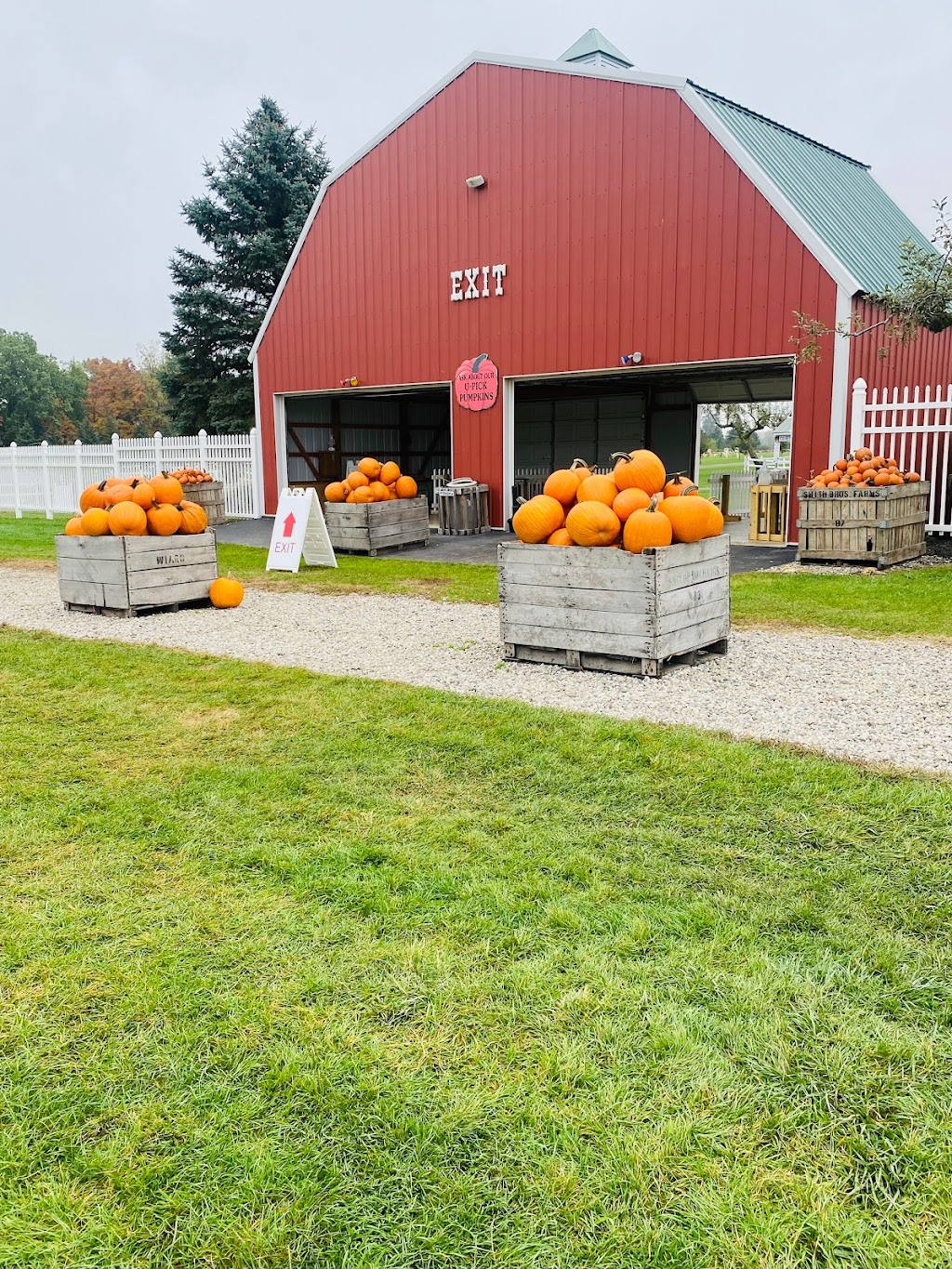 Wiards Orchards | 5565 Merritt Rd, Ypsilanti Charter Twp, MI 48197, USA | Phone: (734) 482-7744