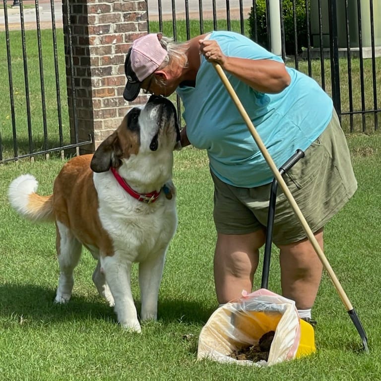 Little Stinkers Pet Waste Removal Service | 840 Hunters Retreat Dr, Collierville, TN 38017, USA | Phone: (901) 832-3481