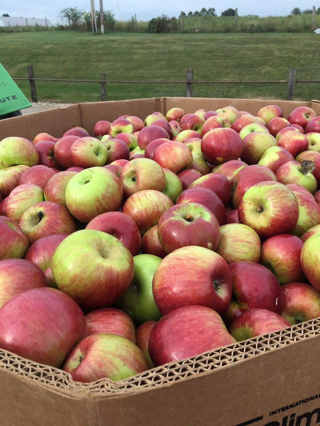 Giulitto Farms Market | 4052 Lake Rockwell Rd, Ravenna, OH 44266, USA | Phone: (330) 819-1724