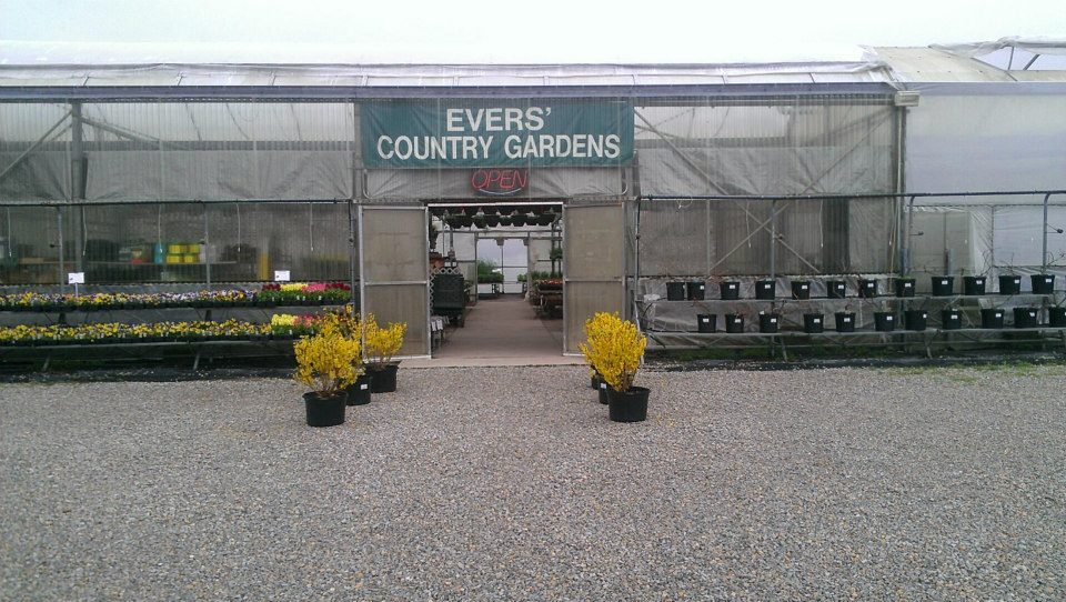 Evers Country Gardens | 1815 US-42, Lebanon, OH 45036, USA | Phone: (513) 932-3914