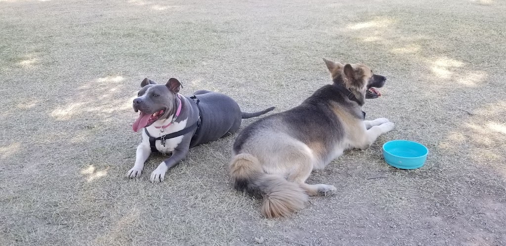 Parkridge Park Dog Park | 9734 W Beardsley Rd, Peoria, AZ 85382, USA | Phone: (623) 773-7137