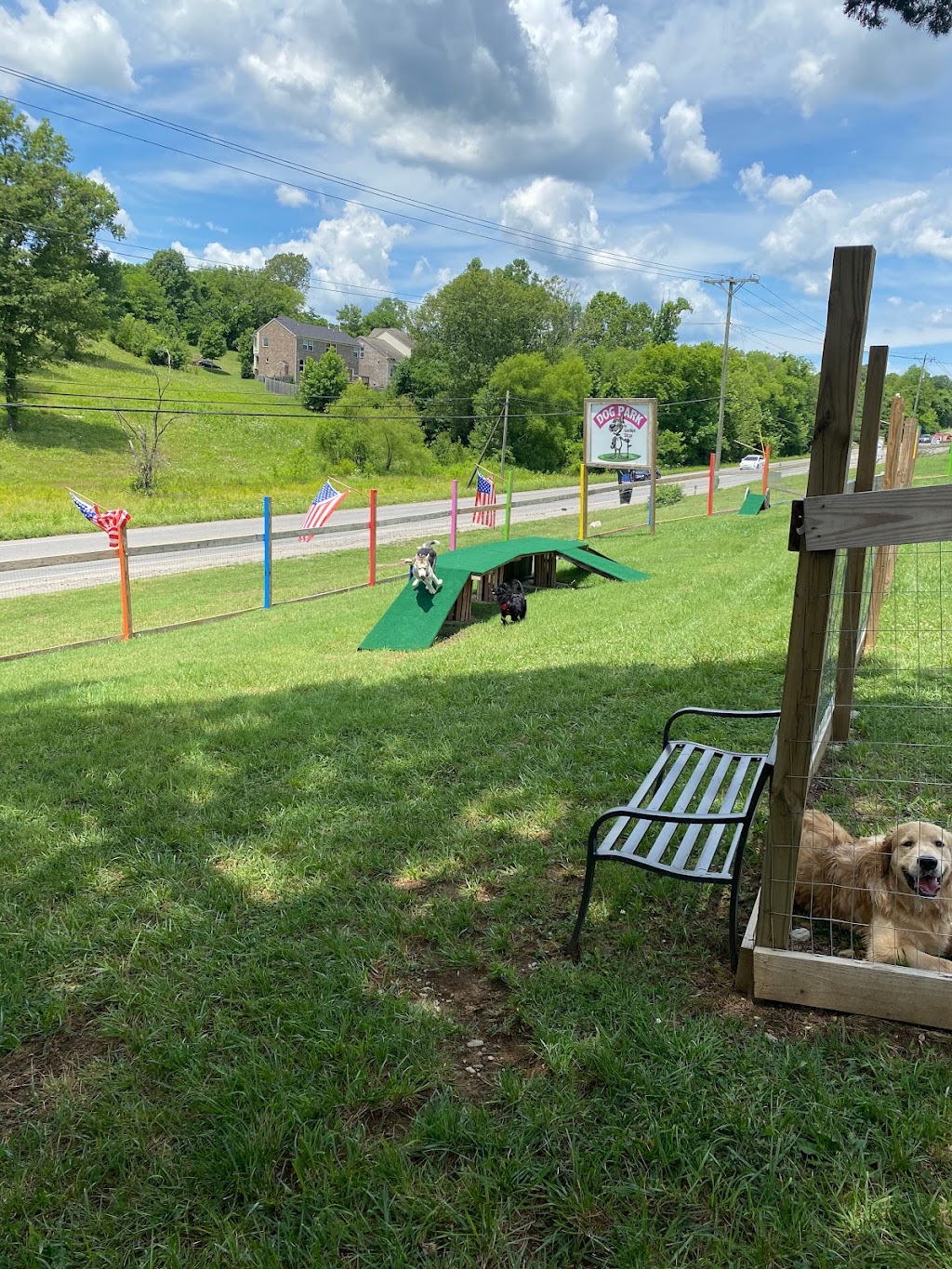 Blues Dog Park | 6304 Hills Chapel Rd, Nashville, TN 37211, USA | Phone: (615) 840-8981