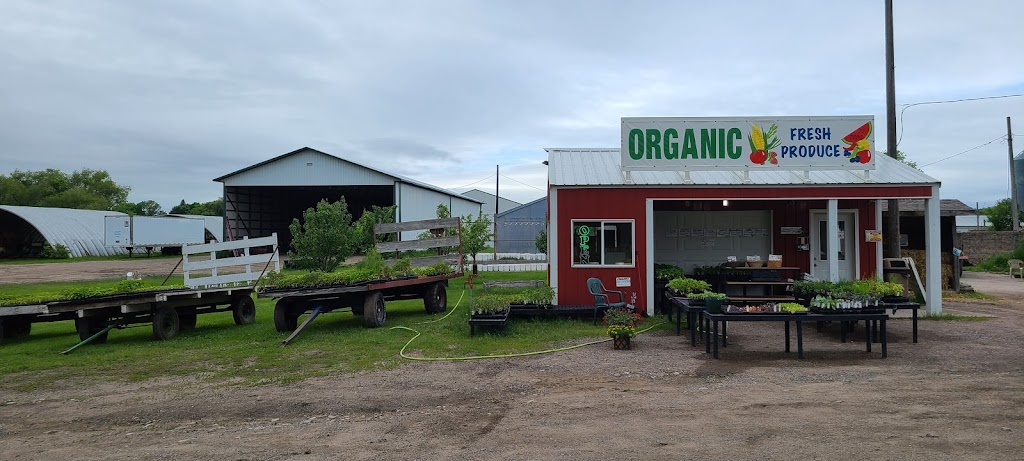 All Good Organics | 6657 Centerville Rd, Lino Lakes, MN 55038, USA | Phone: (612) 325-2749