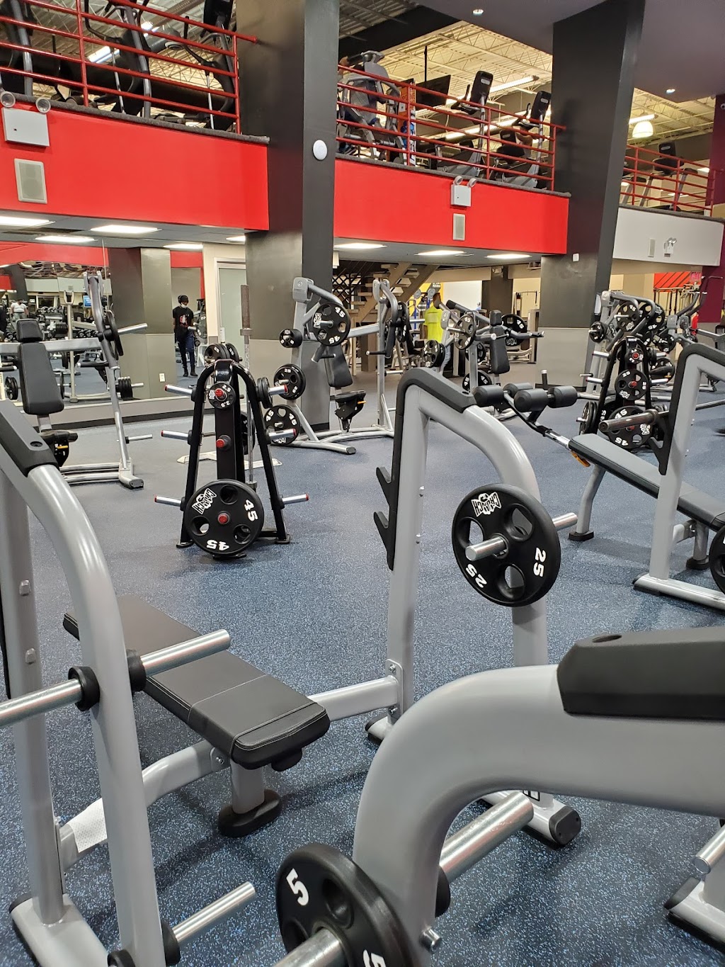 Crunch Fitness - Staten Island | 300 West Service Road, Staten Island, NY 10314, USA | Phone: (347) 861-7333