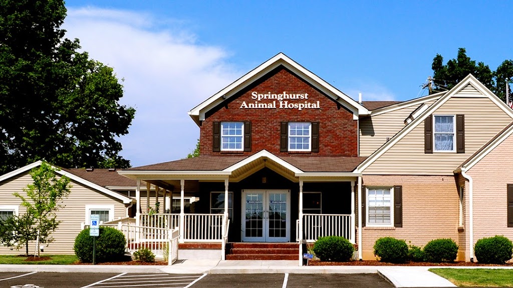 Springhurst Animal Hospital | 9909 Brownsboro Rd, Louisville, KY 40241, USA | Phone: (502) 326-2975