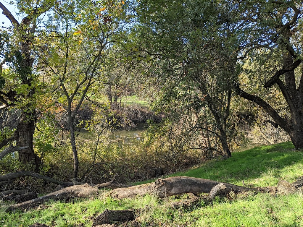 Putah Creek Riparian Reserve | Levee Rd & Brooks Rd, California 95616, Levee Rd, Davis, CA 95616, USA | Phone: (530) 752-0763