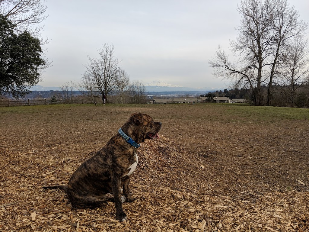 Grandview Off-Leash Dog Park | 3507 S 228th St, SeaTac, WA 98198, USA | Phone: (206) 973-4670