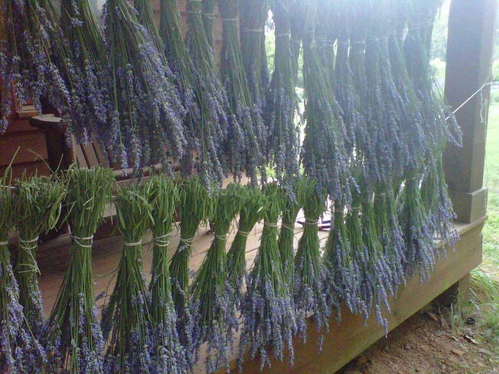 Lavender Road | 6175 Hickory Flat Hwy, Canton, GA 30115, USA | Phone: (404) 932-0422