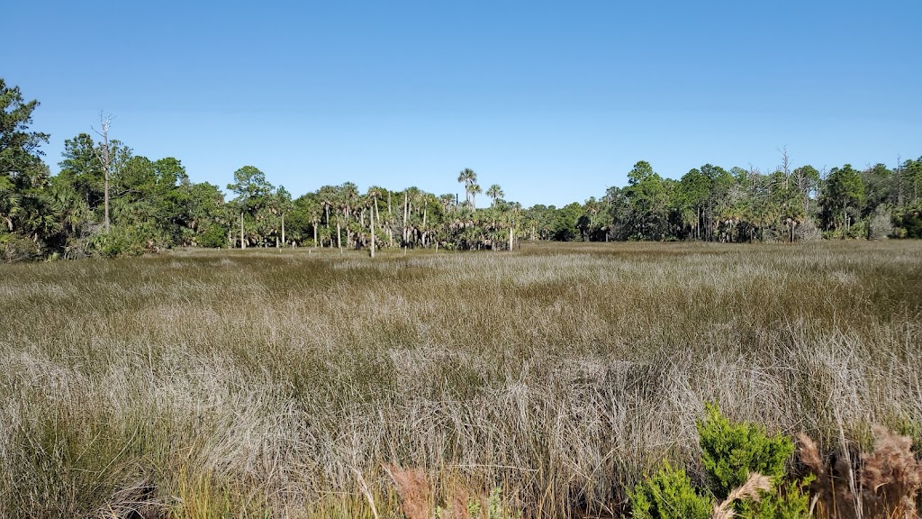 Guana River Wildlife Management Area | Ponte Vedra Beach, FL 32082, USA | Phone: (850) 488-4676