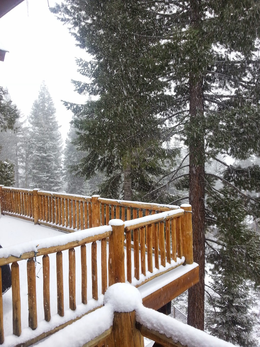 Northshore Transportation | 511 Mountain Cir, Kings Beach, CA 96143, USA | Phone: (530) 546-2885