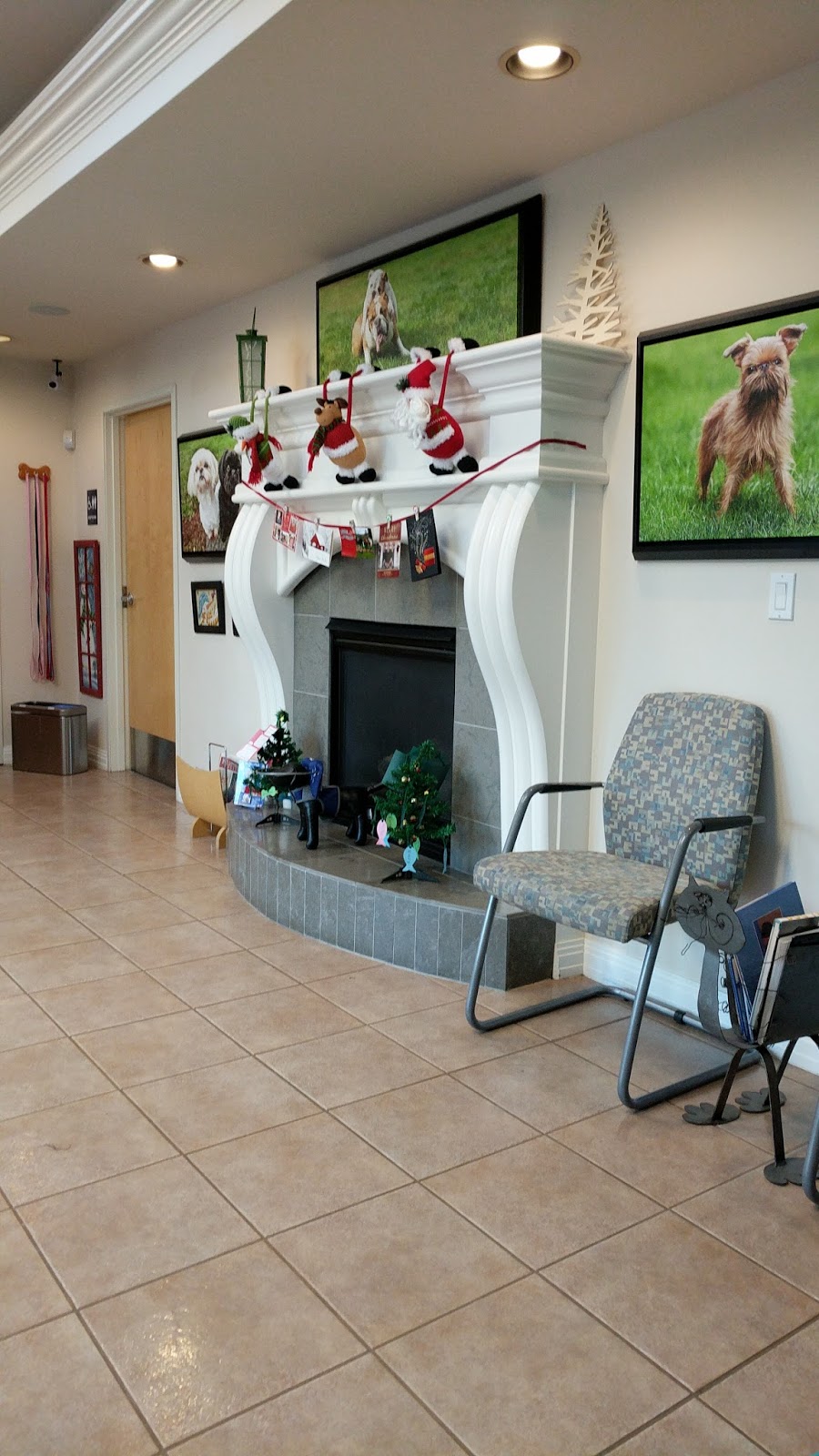 Northwest Animal Eye Specialists - Kirkland | 13020 NE 85th St, Kirkland, WA 98033, USA | Phone: (425) 827-3966