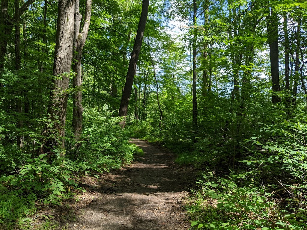 Iroquois National Wildlife Refuge | Casey Rd, Basom, NY 14013, USA | Phone: (585) 948-5445