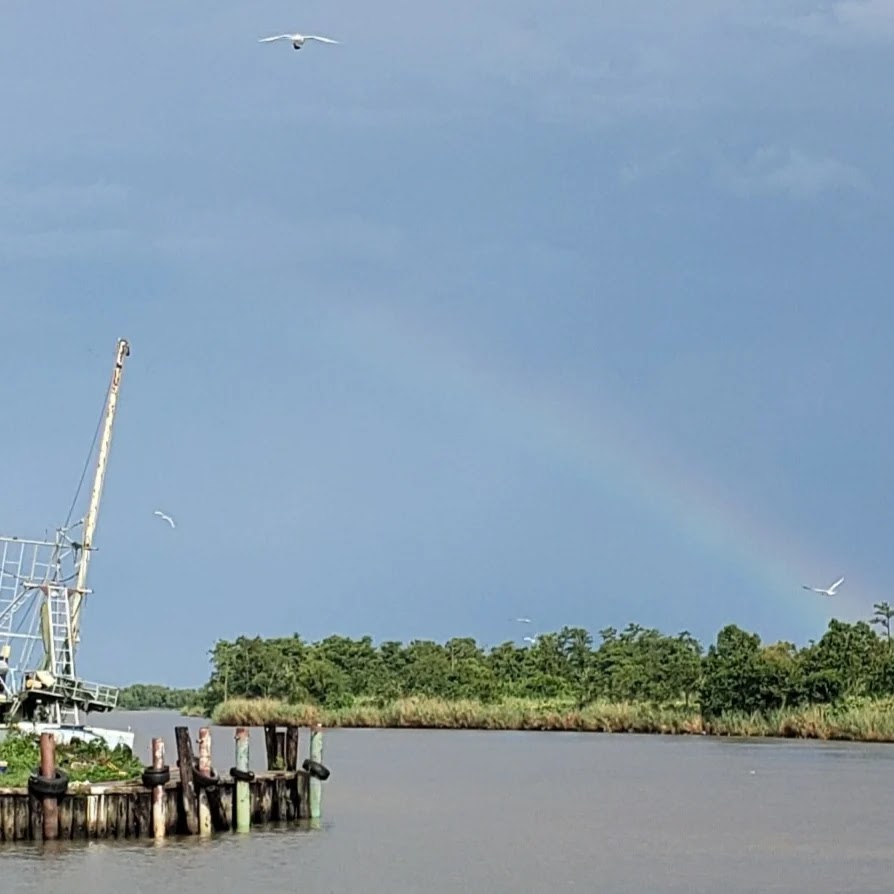 Fishbonz Lodge Venice LA | 237 Sports Marina Rd, Venice, LA 70091, USA | Phone: (504) 251-8321