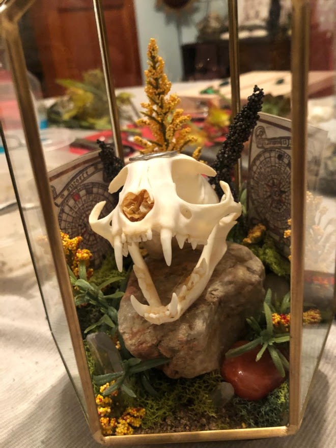 The Golden Curiosity Shop | 17742 S Golden Rd, Golden, CO 80401, USA | Phone: (720) 240-4425
