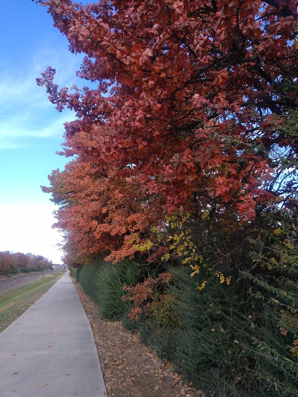 Denton Katy Trail - Hiking & Cycling Greenbelt | Denton Katy Trail, Denton, TX 76210, USA | Phone: (940) 349-7275