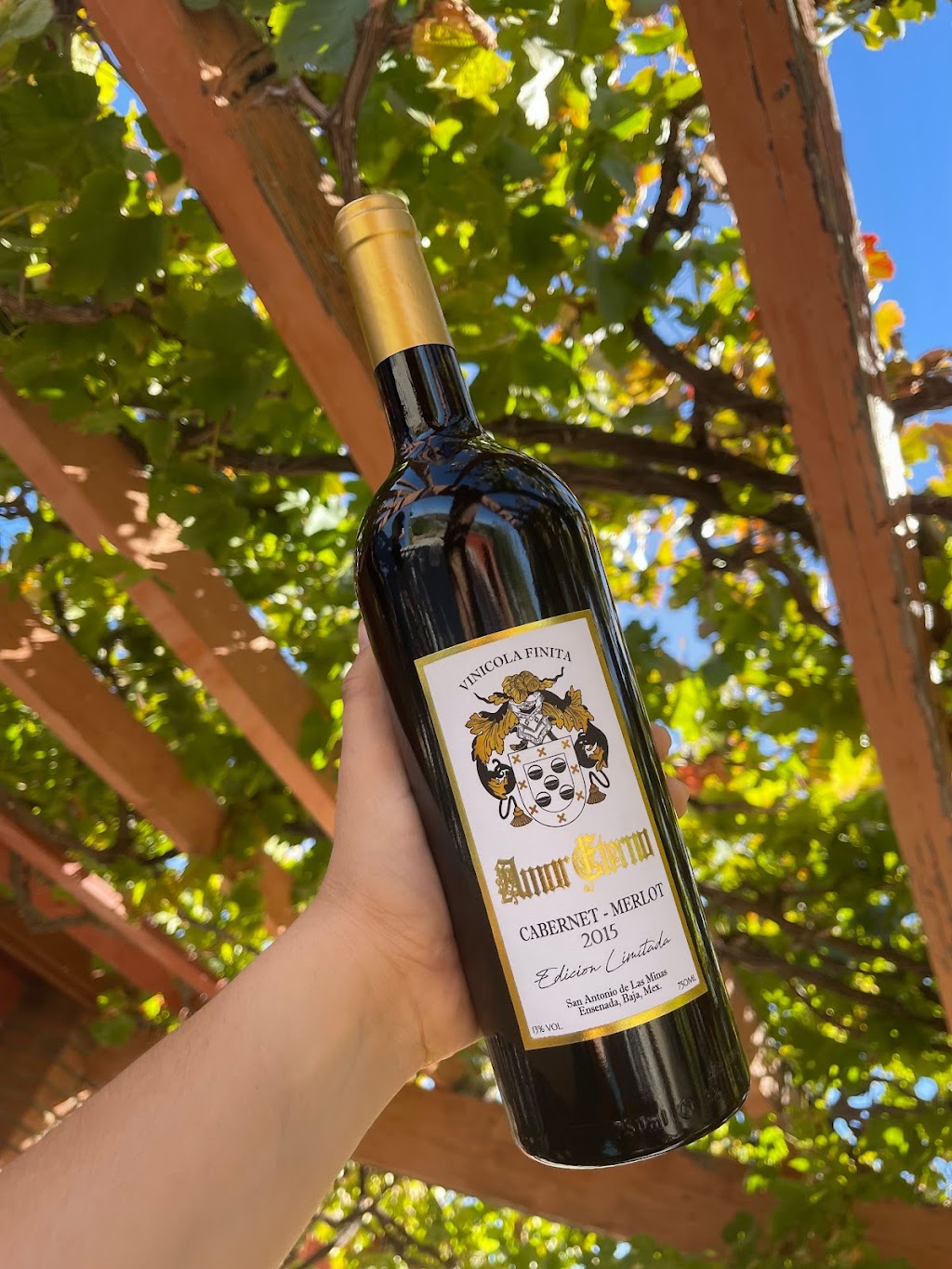 VINOS FINITA | 22766 Villa de Juárez, Baja California, Mexico | Phone: 646 117 1130