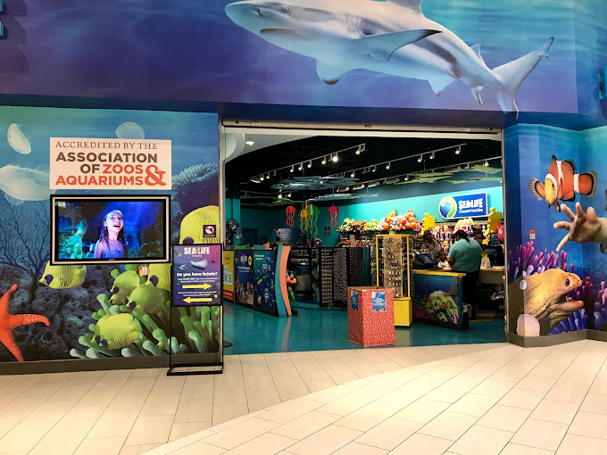 SEA LIFE Arizona Aquarium | 5000 S Arizona Mills Cir Suite 145, Tempe, AZ 85282, USA | Phone: (480) 565-7072