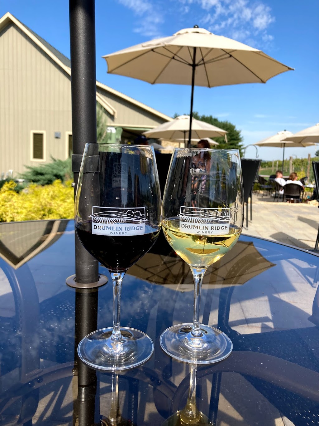 Drumlin Ridge Winery | 6000 River Rd, Waunakee, WI 53597, USA | Phone: (608) 849-9463