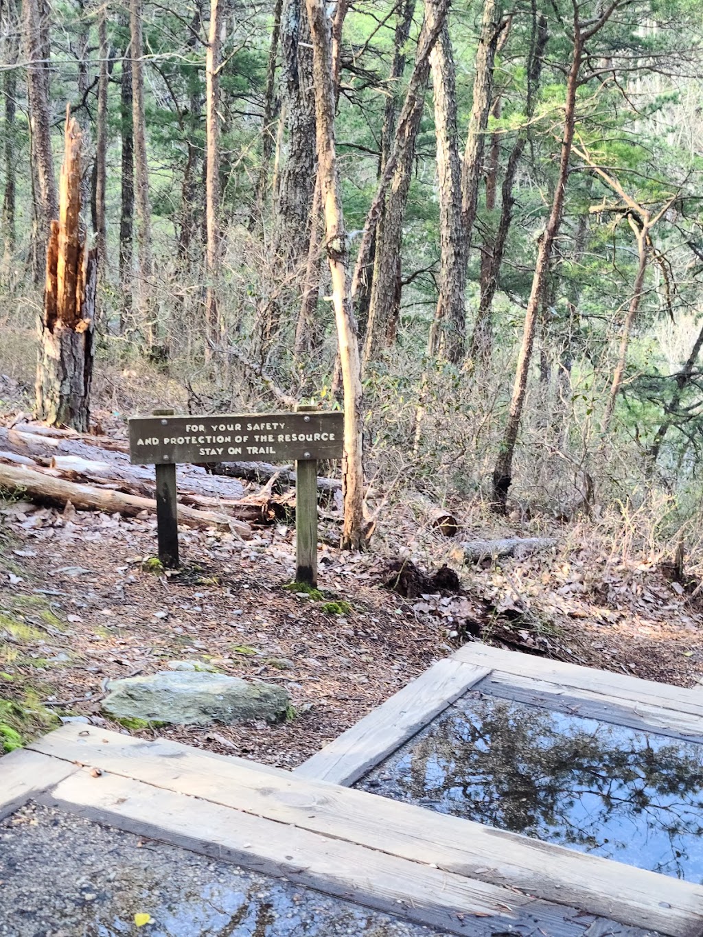 Hanging Rock State Park | 1790 Hanging Rock Park Rd, Danbury, NC 27016, USA | Phone: (336) 593-8480