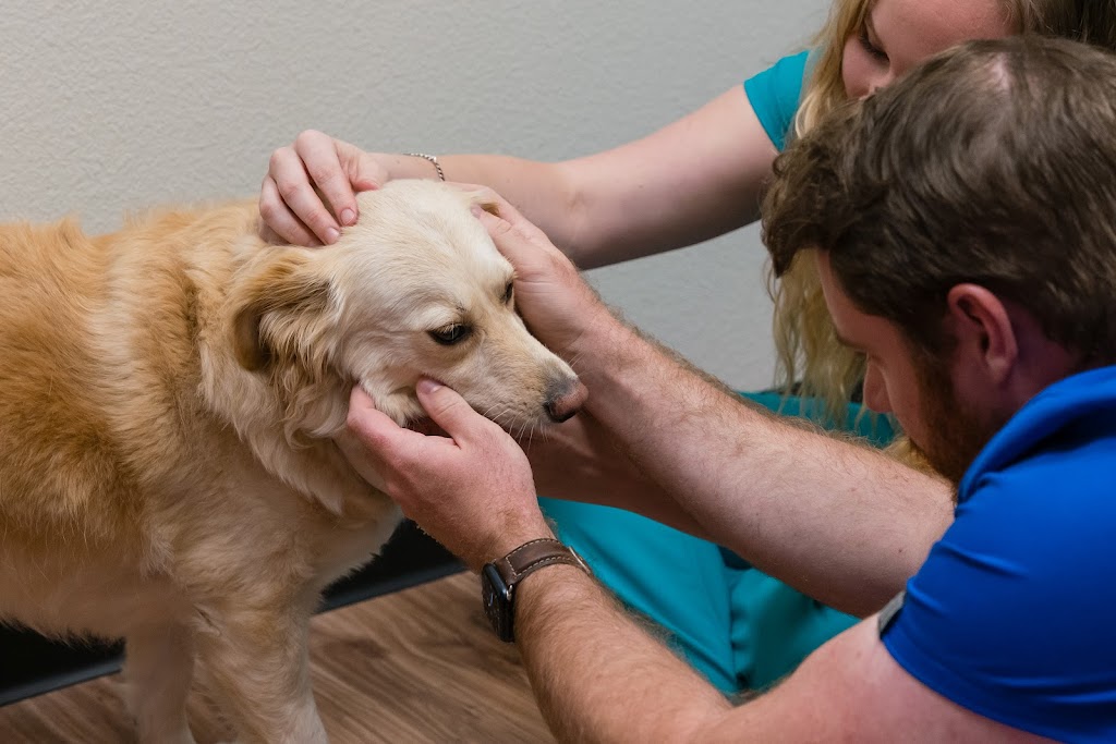 Pet Method Animal Hospital | 260 N Coit Rd Ste 130, McKinney, TX 75071, USA | Phone: (469) 581-8609