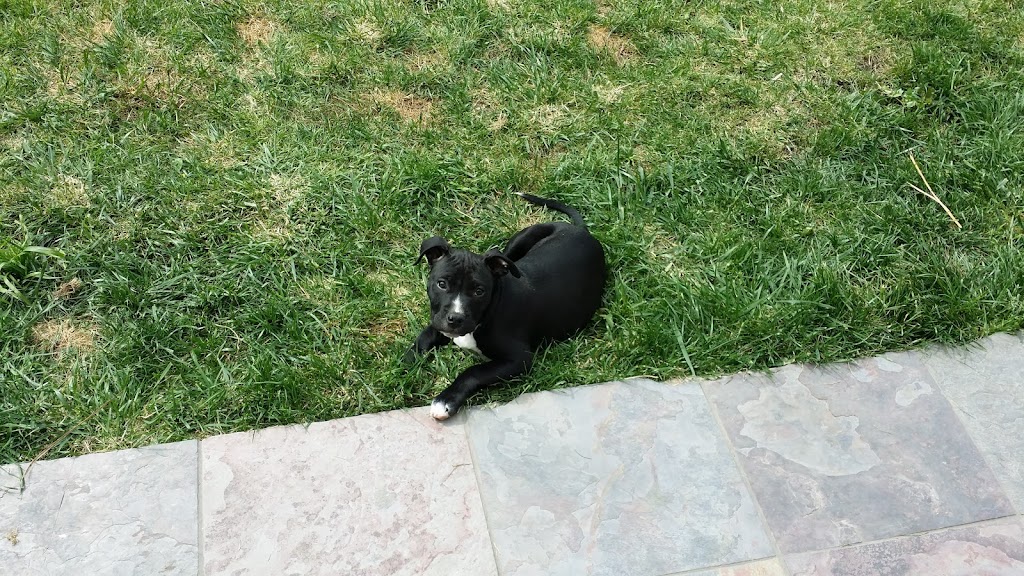 Countrystone Park | 5209 Whitestone Dr, Salida, CA 95368, USA | Phone: (209) 525-6750