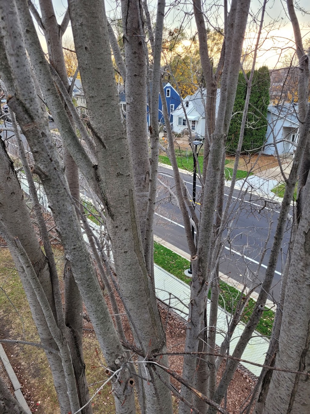 Spruce Park | 1311 7th Ave S, South St Paul, MN 55075, USA | Phone: (651) 306-3690