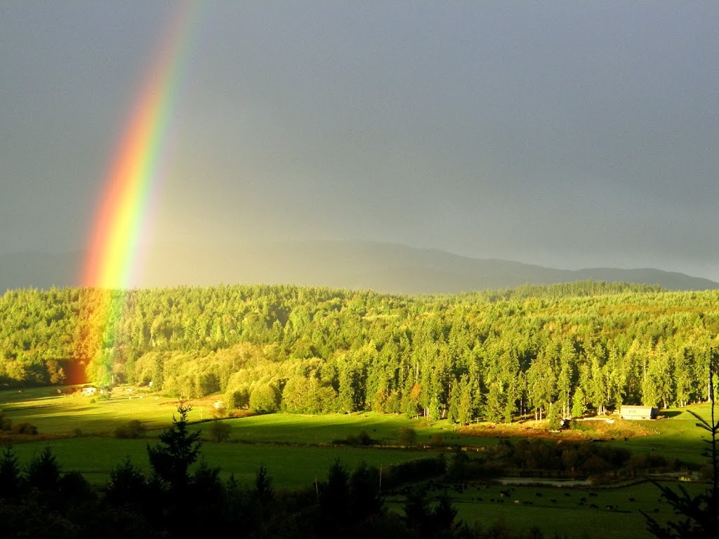 Chimacum Ridge Lodge | 1505 Center Rd, Chimacum, WA 98325 | Phone: (360) 774-1644