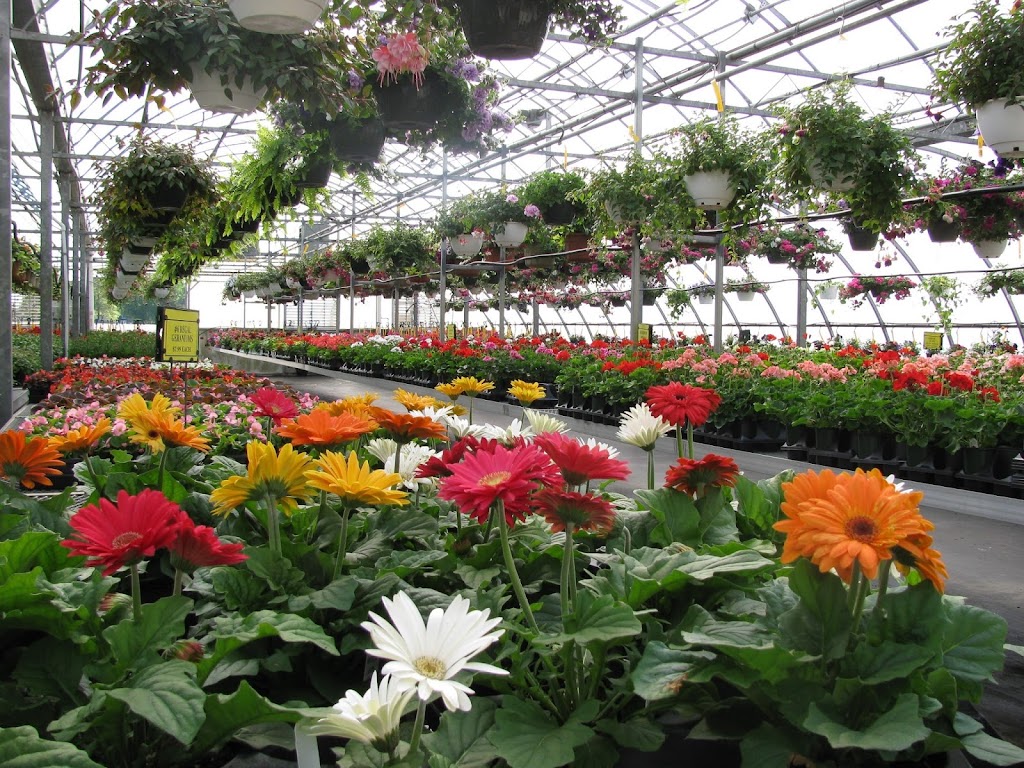 Sabos Woodside Nursery Inc | 7800 N Ridge Rd, Madison, OH 44057, USA | Phone: (440) 466-9523