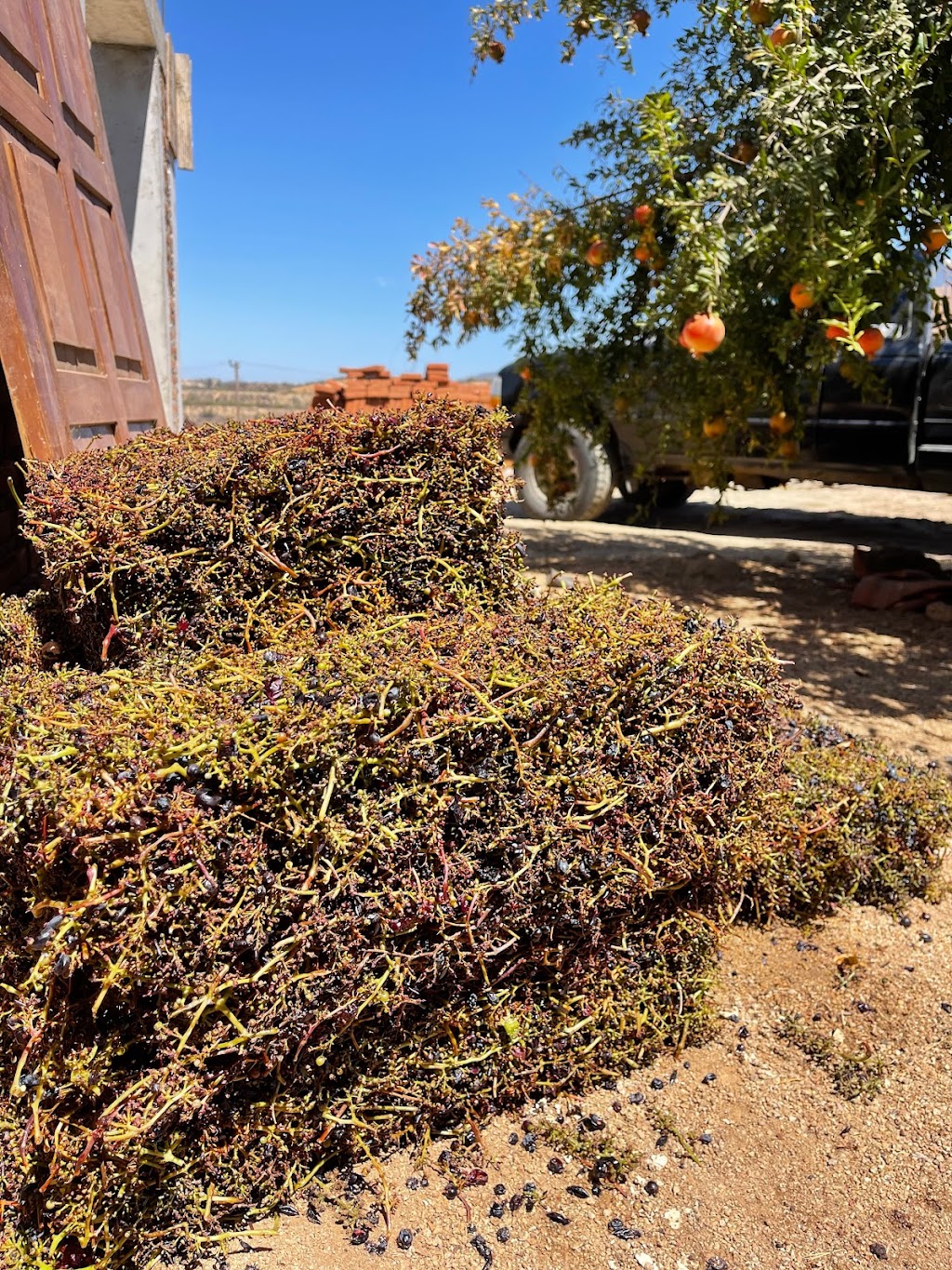 VINOS FINITA | 22766 Villa de Juárez, Baja California, Mexico | Phone: 646 117 1130