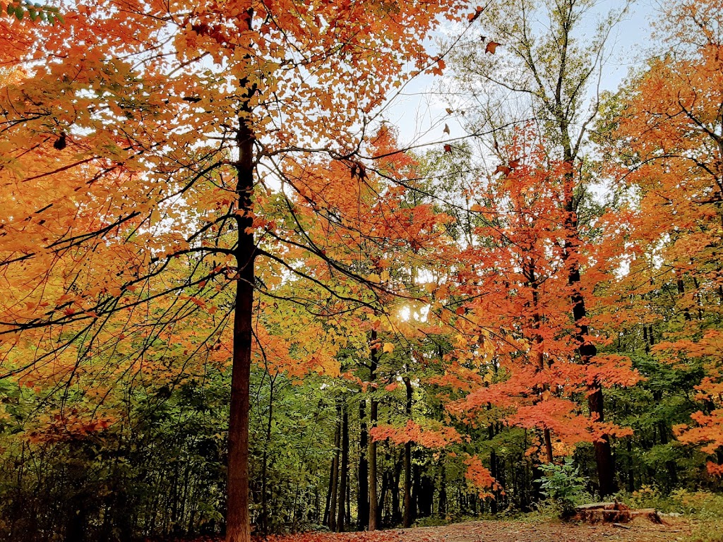 Fish Lake Regional Park | 14900 Bass Lake Rd, Maple Grove, MN 55311, USA | Phone: (763) 694-7818