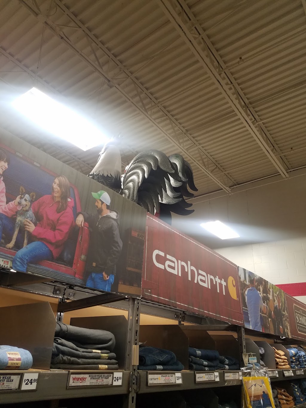 Tractor Supply Co. | 16497 Tecumseh St, Dundee, MI 48131, USA | Phone: (734) 529-5535