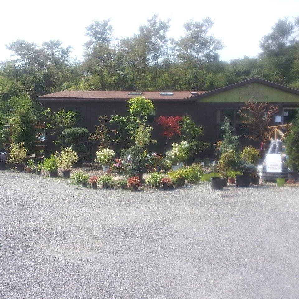 Grandview Nurseries, Inc. | 119 Tolvinski Lane, Irwin, PA 15642, USA | Phone: (724) 446-7673