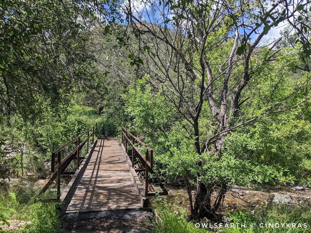 Proctor Parking and Trailhead | S Madera Canyon Rd, Amado, AZ 85645, USA | Phone: (623) 209-4920