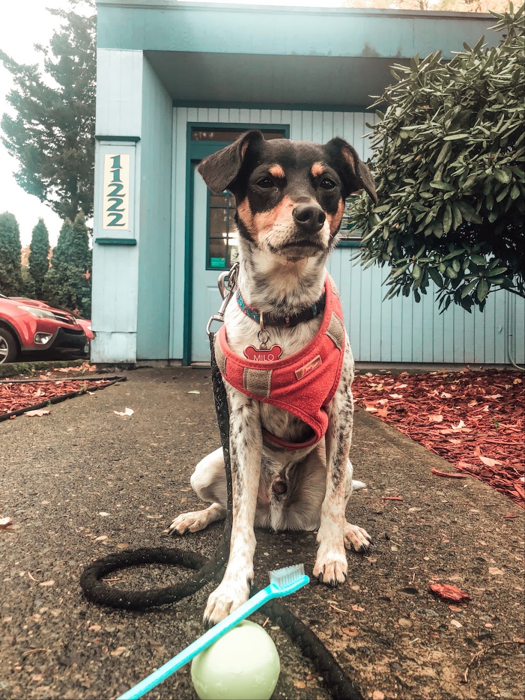 Gateway Veterinary Hospital | 11222 NE Halsey St, Portland, OR 97220, USA | Phone: (503) 253-2142