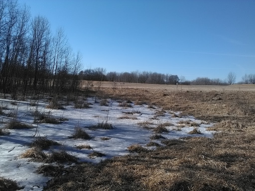 Rice Creek Off-Leash Dog Area | 5959 Lexington Ave N, Shoreview, MN 55126, USA | Phone: (651) 748-2500